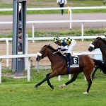 Roma 18 maggio 20014 Ippodromo delle Capannelle  131 ^ Derby Italiano Fabio Branca vince il 131° Derby Italiano su Dylan Mounth ph. Stefano Grasso