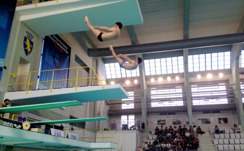 Tuffi Campionati Italiani assoluti invernali Torino 2013 004