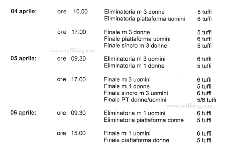 tuffi assoluti indoor Torino 2014