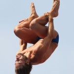 Diving - 15th FINA World Championships: Day Eight