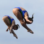 SWIM-WORLD-DIVING-ESP