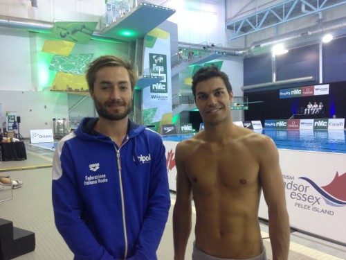 Fina Diving World Series Windsor Verzotto Dell Uomo