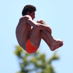 Diving - 15th FINA World Championships: Day Nine