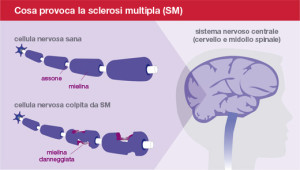 Immagine SM attacco_ita