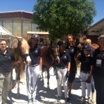 team_dressage