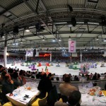 PANORAMICA  fieracavalli