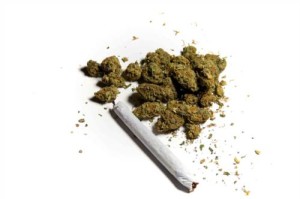 cannabis_jpg